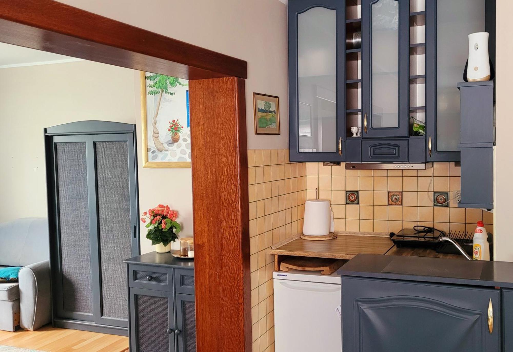 Apartament Brzoza Bydgoska Екстер'єр фото